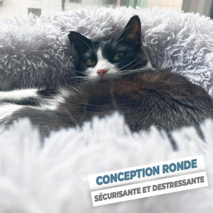 COUSSIN POUR CHATS SOFTY™