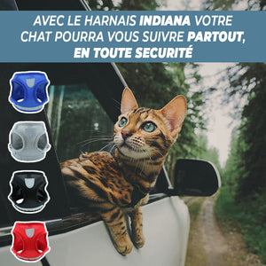 HARNAIS POUR CHATS INDIANA®
