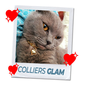 COLLIER GLAM®